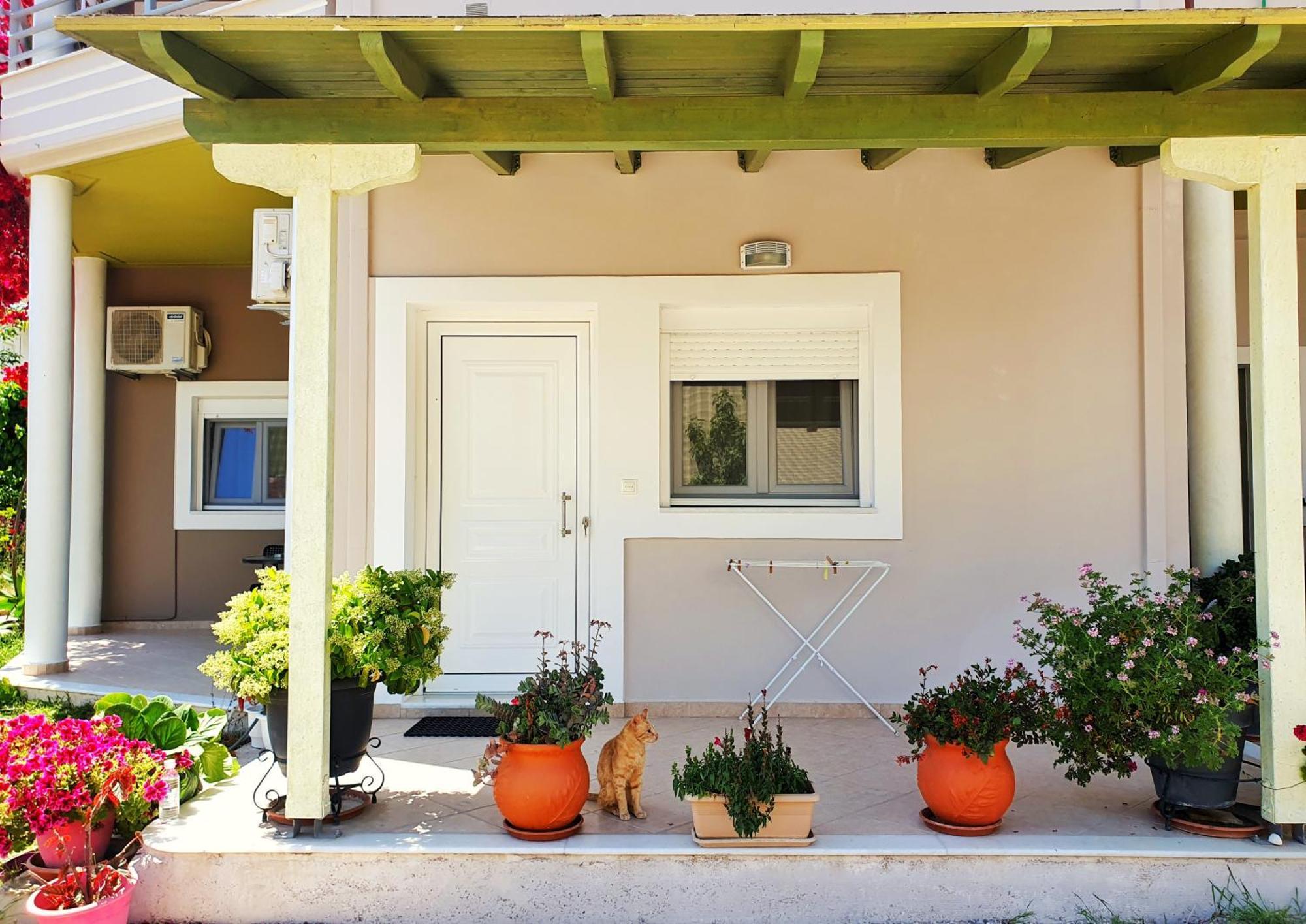 Green Studio Apartment